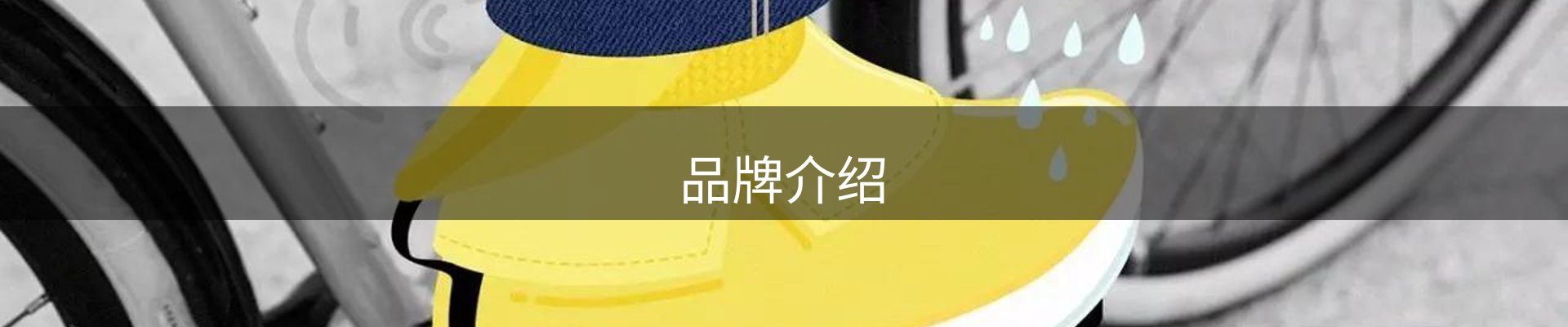 品牌介绍